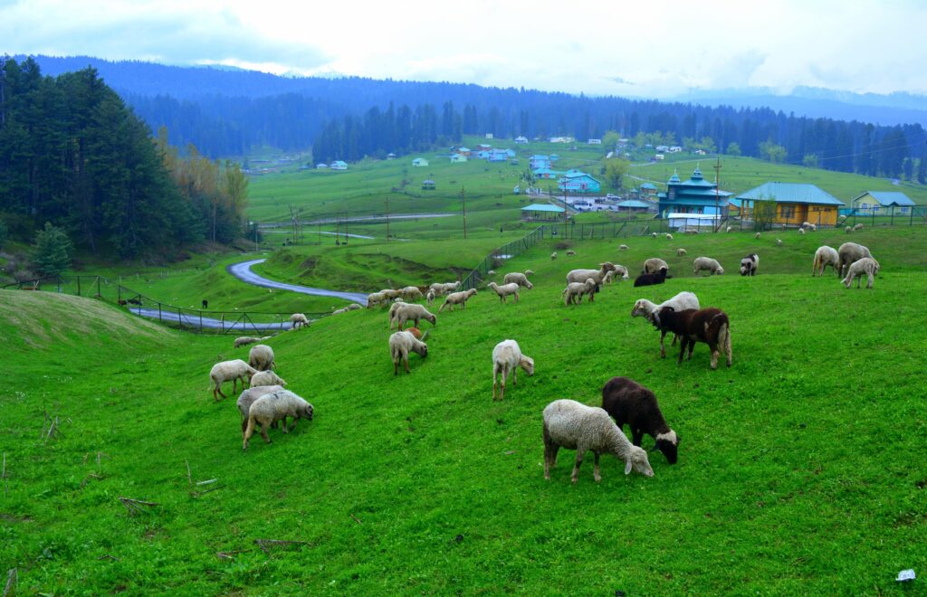 Yousmarg- hidden places in Kashmir