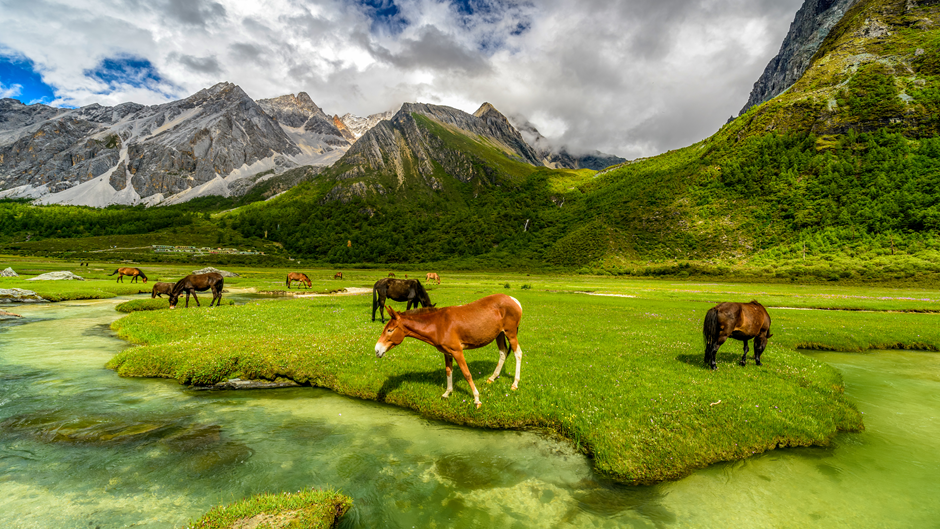 Reasons That Make Kashmir Heaven on Earth