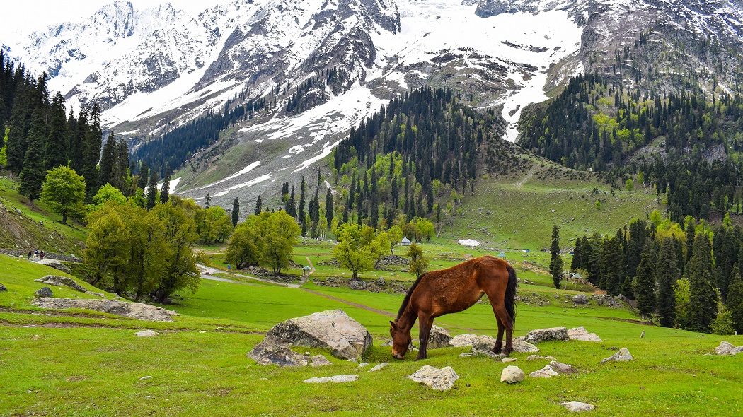 Kashmir Adventure Trip