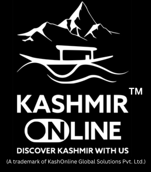 kashmironline logo