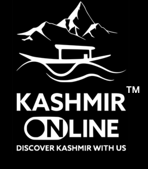 kashmironline logo